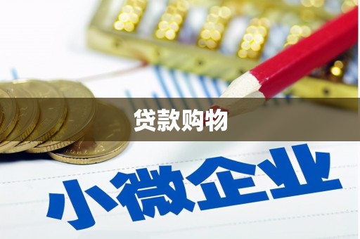 法库贷款购物
