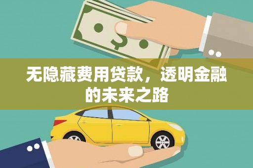 渭源无隐藏费用贷款，透明金融的未来之路