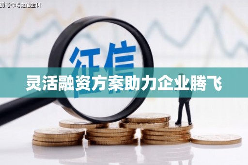 玉树灵活融资方案助力企业腾飞