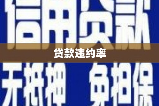 双台子贷款违约率