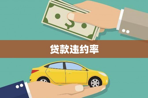南宫贷款违约率
