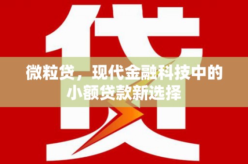 民和微粒贷，现代金融科技中的小额贷款新选择