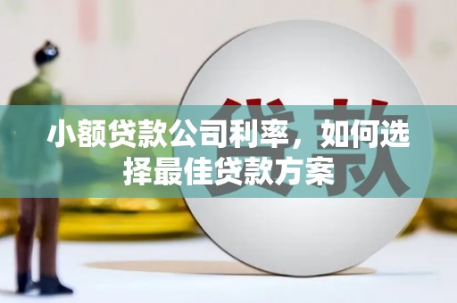 保税港区小额贷款公司利率，如何选择最佳贷款方案