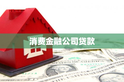 外埔消费金融公司贷款