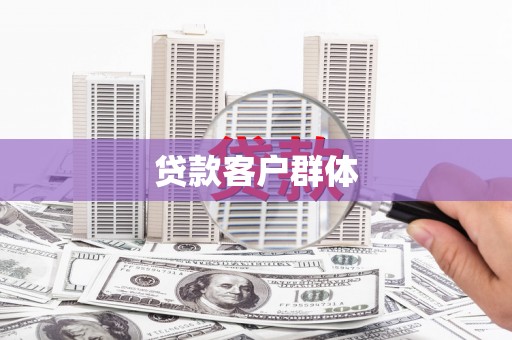 阜康贷款客户群体