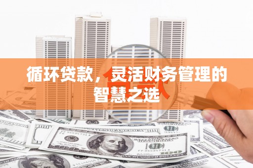 邢台循环贷款，灵活财务管理的智慧之选