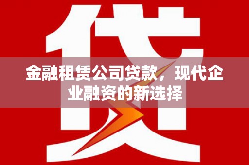 隆尧金融租赁公司贷款，现代企业融资的新选择