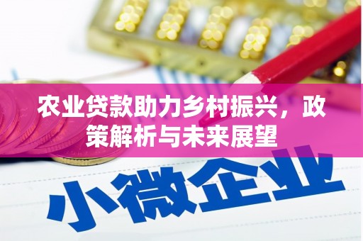 巨野农业贷款助力乡村振兴，政策解析与未来展望