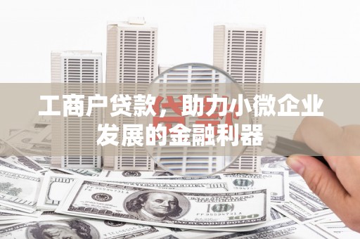 山阳工商户贷款，助力小微企业发展的金融利器