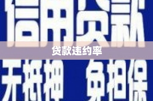 岢岚贷款违约率