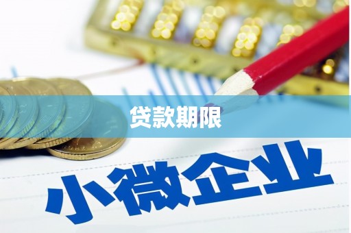 王益贷款期限