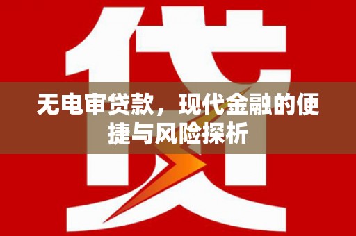特克斯无电审贷款，现代金融的便捷与风险探析