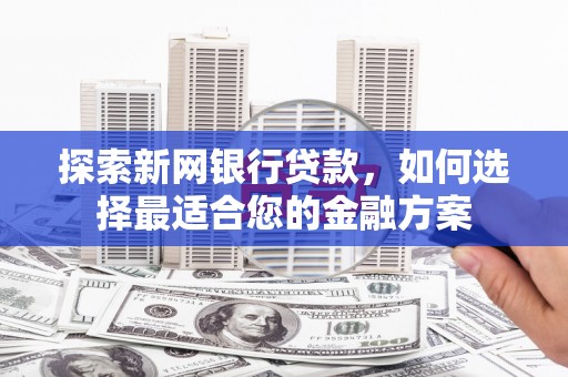 囊谦探索新网银行贷款，如何选择最适合您的金融方案