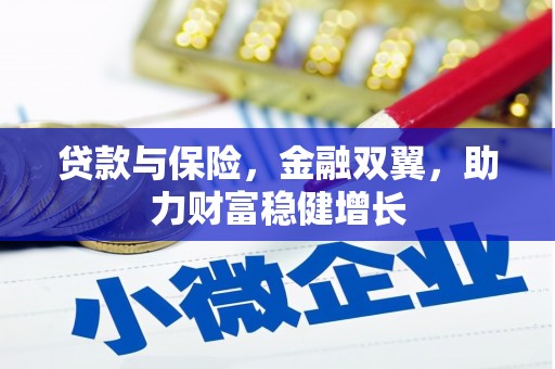 新园贷款与保险，金融双翼，助力财富稳健增长