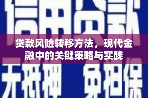 克孜勒苏柯尔克孜贷款风险转移方法，现代金融中的关键策略与实践