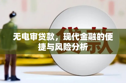 沈北新区无电审贷款，现代金融的便捷与风险分析