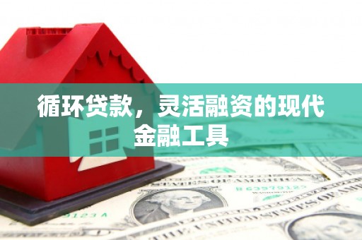 山东循环贷款，灵活融资的现代金融工具