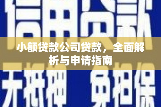 庄河小额贷款公司贷款，全面解析与申请指南
