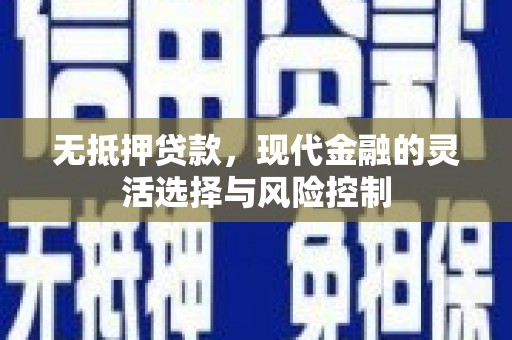 林甸无抵押贷款，现代金融的灵活选择与风险控制