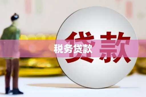 小金税务贷款