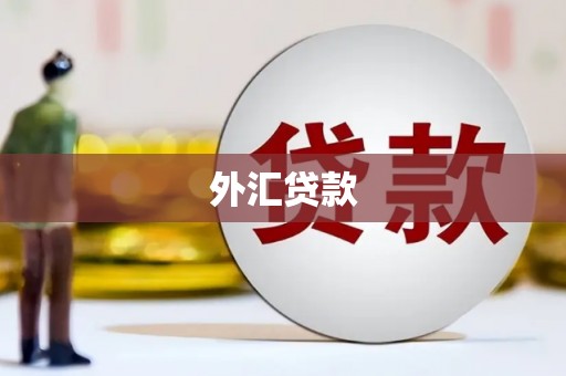 石门外汇贷款