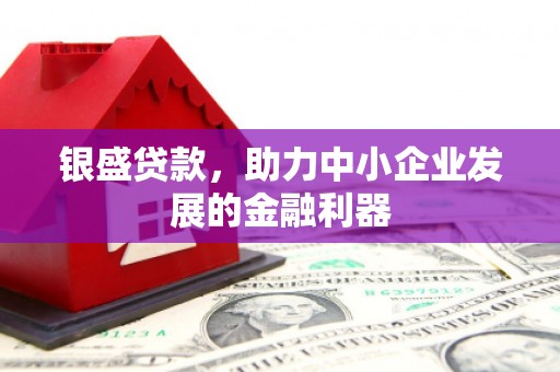 滁州银盛贷款，助力中小企业发展的金融利器