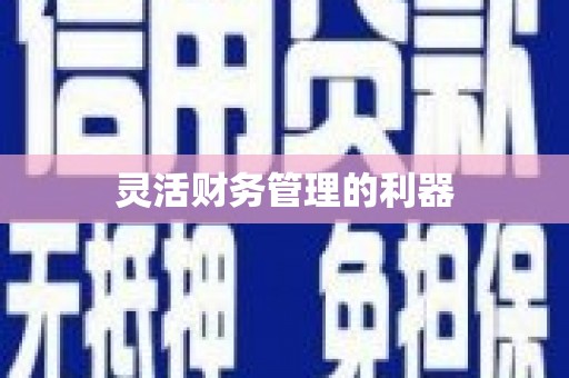 江城灵活财务管理的利器