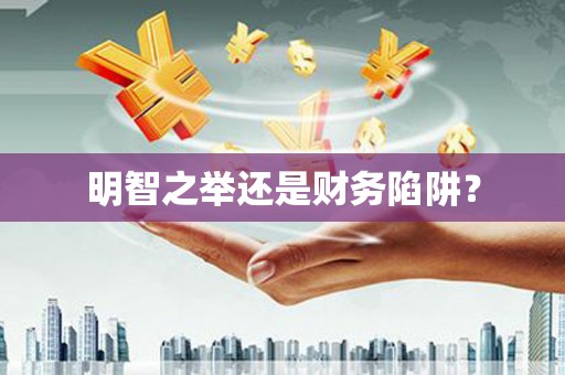 宝兴明智之举还是财务陷阱？