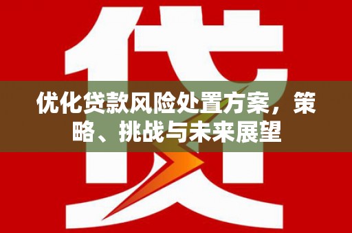 弥陀优化贷款风险处置方案，策略、挑战与未来展望