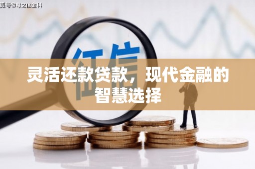东台灵活还款贷款，现代金融的智慧选择