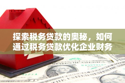 石家庄探索税务贷款的奥秘，如何通过税务贷款优化企业财务
