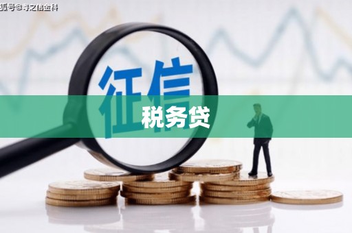 龙游税务贷