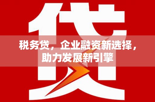徐闻税务贷，企业融资新选择，助力发展新引擎