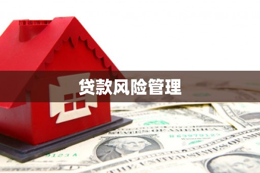 龙亭贷款风险管理