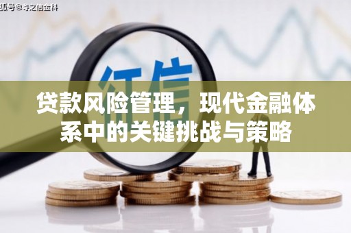 特克斯贷款风险管理，现代金融体系中的关键挑战与策略