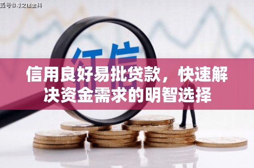 苍梧信用良好易批贷款，快速解决资金需求的明智选择