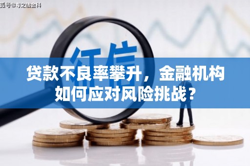 燕巢贷款不良率攀升，金融机构如何应对风险挑战？