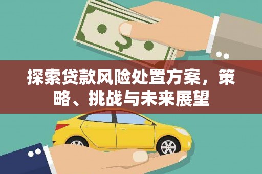 中区探索贷款风险处置方案，策略、挑战与未来展望