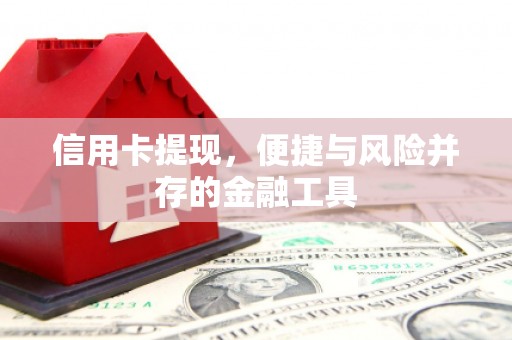 泰顺信用卡提现，便捷与风险并存的金融工具