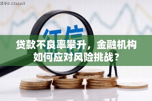 临猗贷款不良率攀升，金融机构如何应对风险挑战？