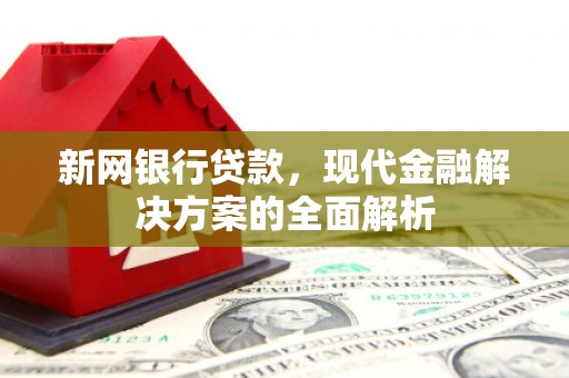 德惠新网银行贷款，现代金融解决方案的全面解析