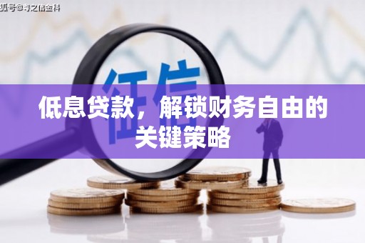白碱滩低息贷款，解锁财务自由的关键策略