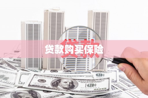 星子贷款购买保险
