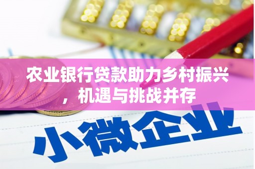 中堂农业银行贷款助力乡村振兴，机遇与挑战并存