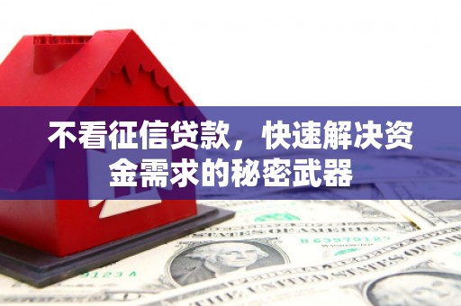丰润不看征信贷款，快速解决资金需求的秘密武器