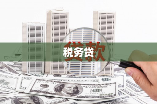 大社税务贷