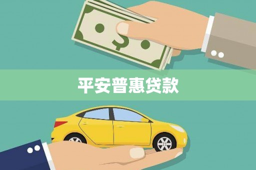 理县平安普惠贷款