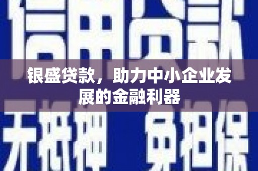 浦东银盛贷款，助力中小企业发展的金融利器