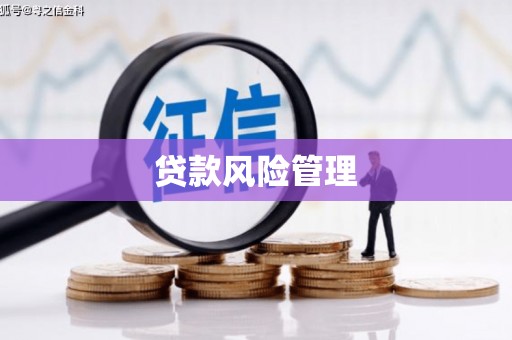 来宾贷款风险管理