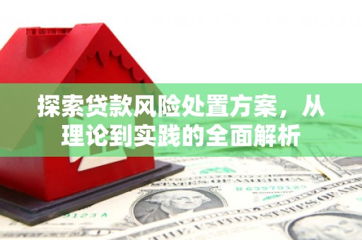 昭平探索贷款风险处置方案，从理论到实践的全面解析